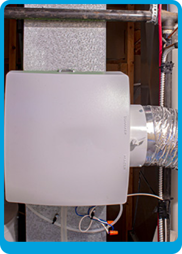 Whole-House Humidifiers & Dehumidifiers in Pensacola, FL
